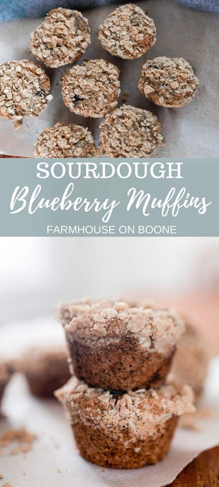 sourdough blueberry muffin batter in lined muffin tin