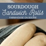 Sourdough Sandwich Rolls