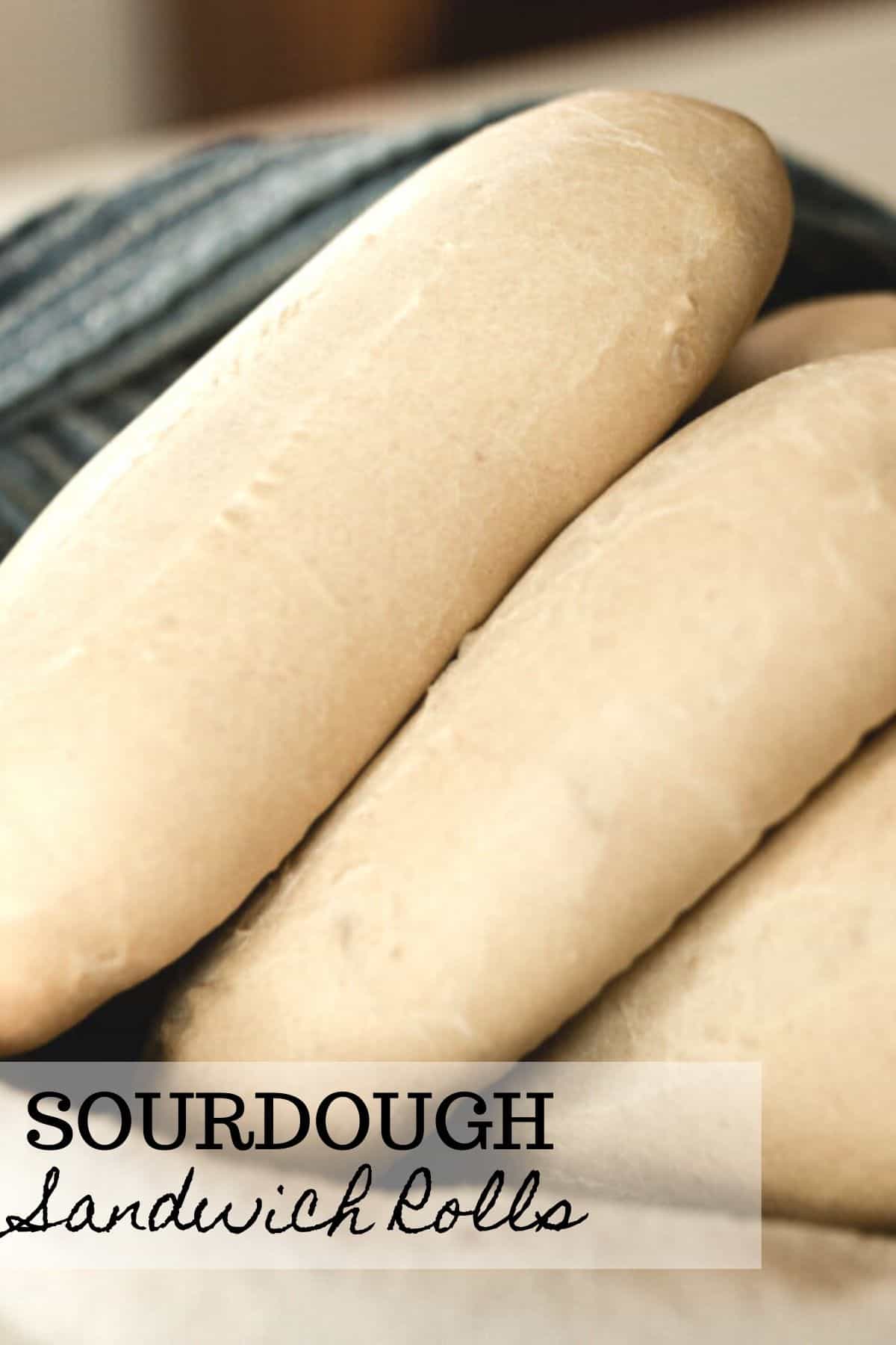 Sourdough Sandwich Rolls Farmhouse on Boone