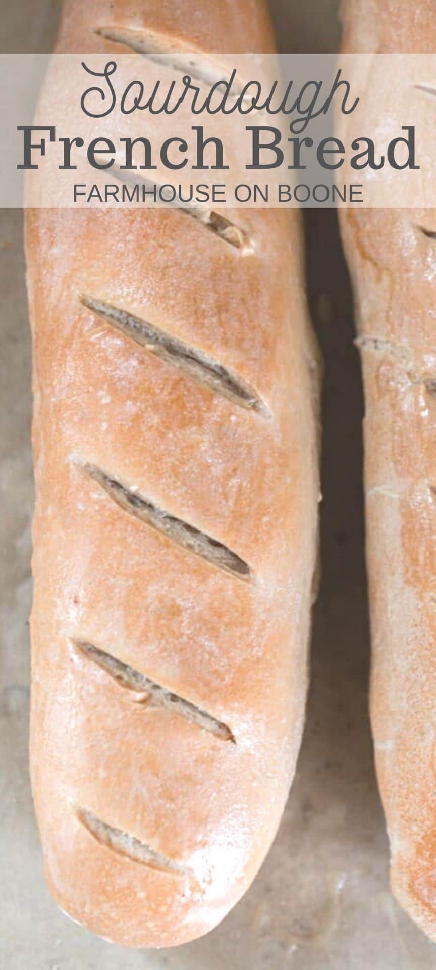 Sourdough French Bread Farmhouse on Boone