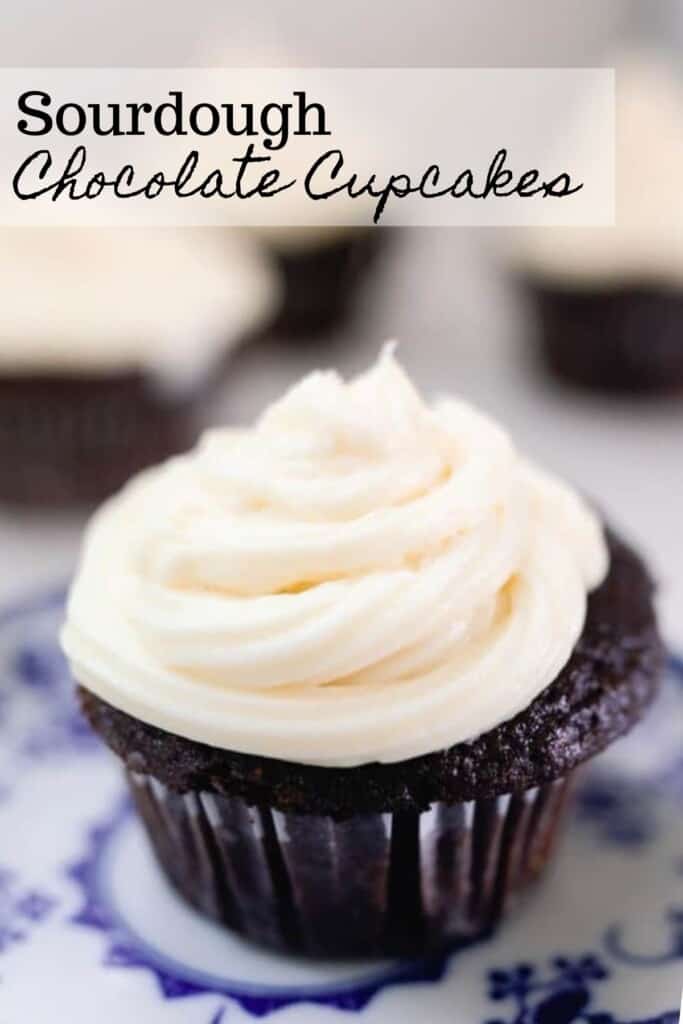 sourdough cupcake with cream cheese buttercream frosting on a white and blue antique plate