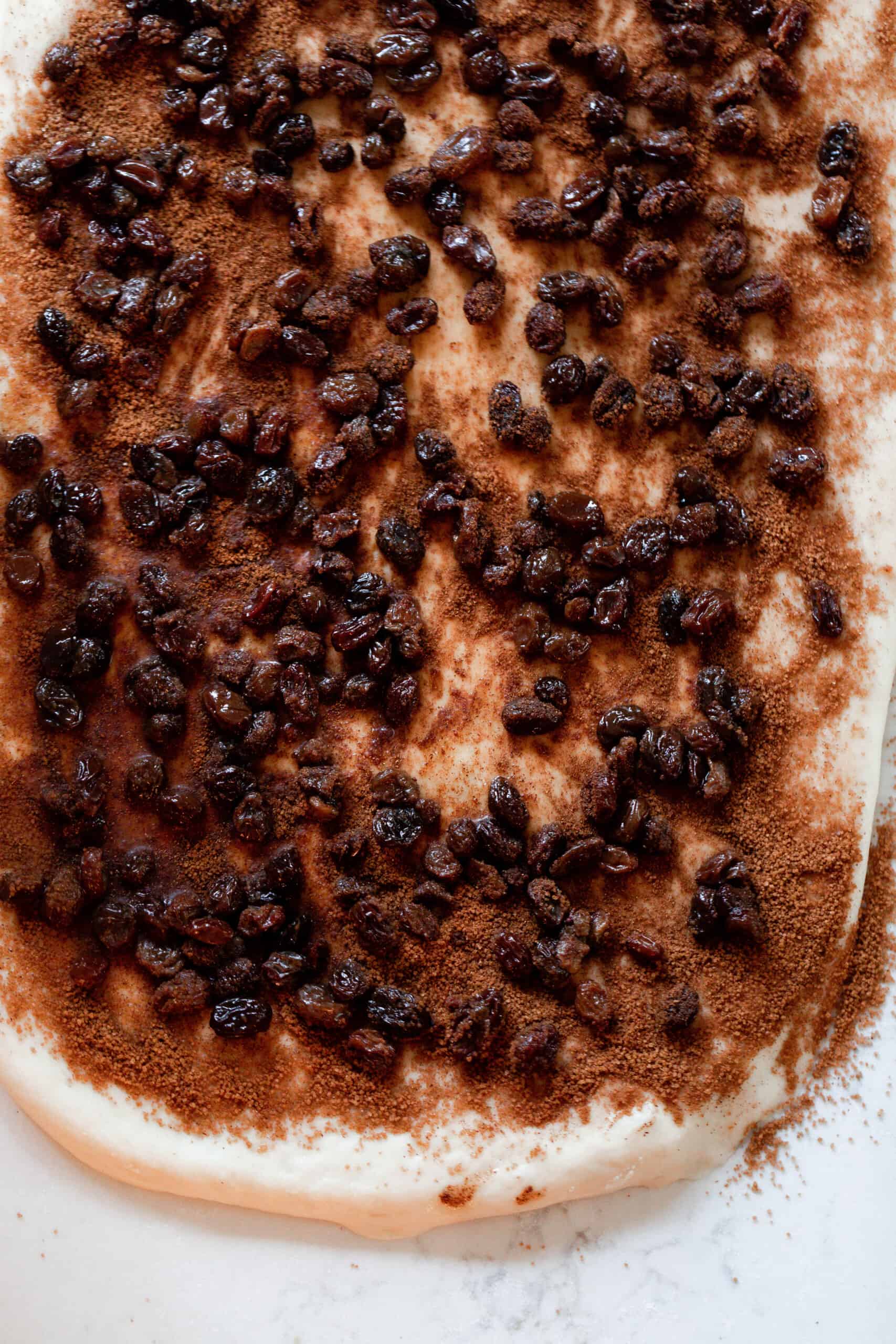 cinnamon, sugar, and raisins spread out onto sourdough dough rolled in rectangle shape