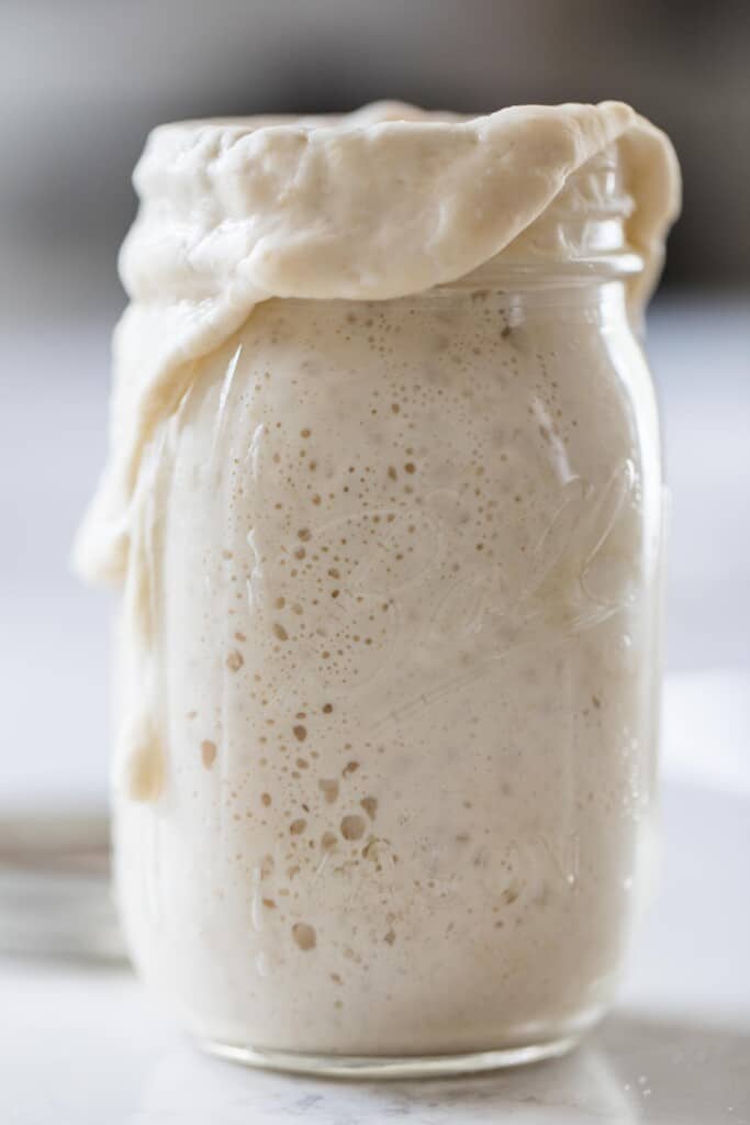 Buy clearance sourdough starter