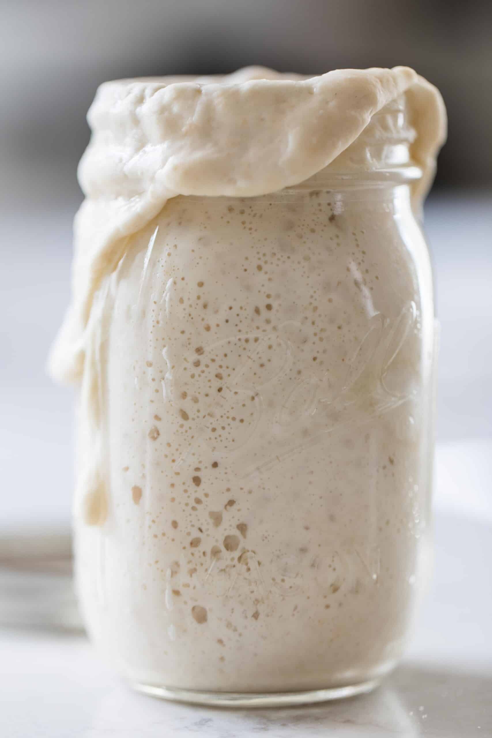 bubbly overflowing sourdough starter a white countertop