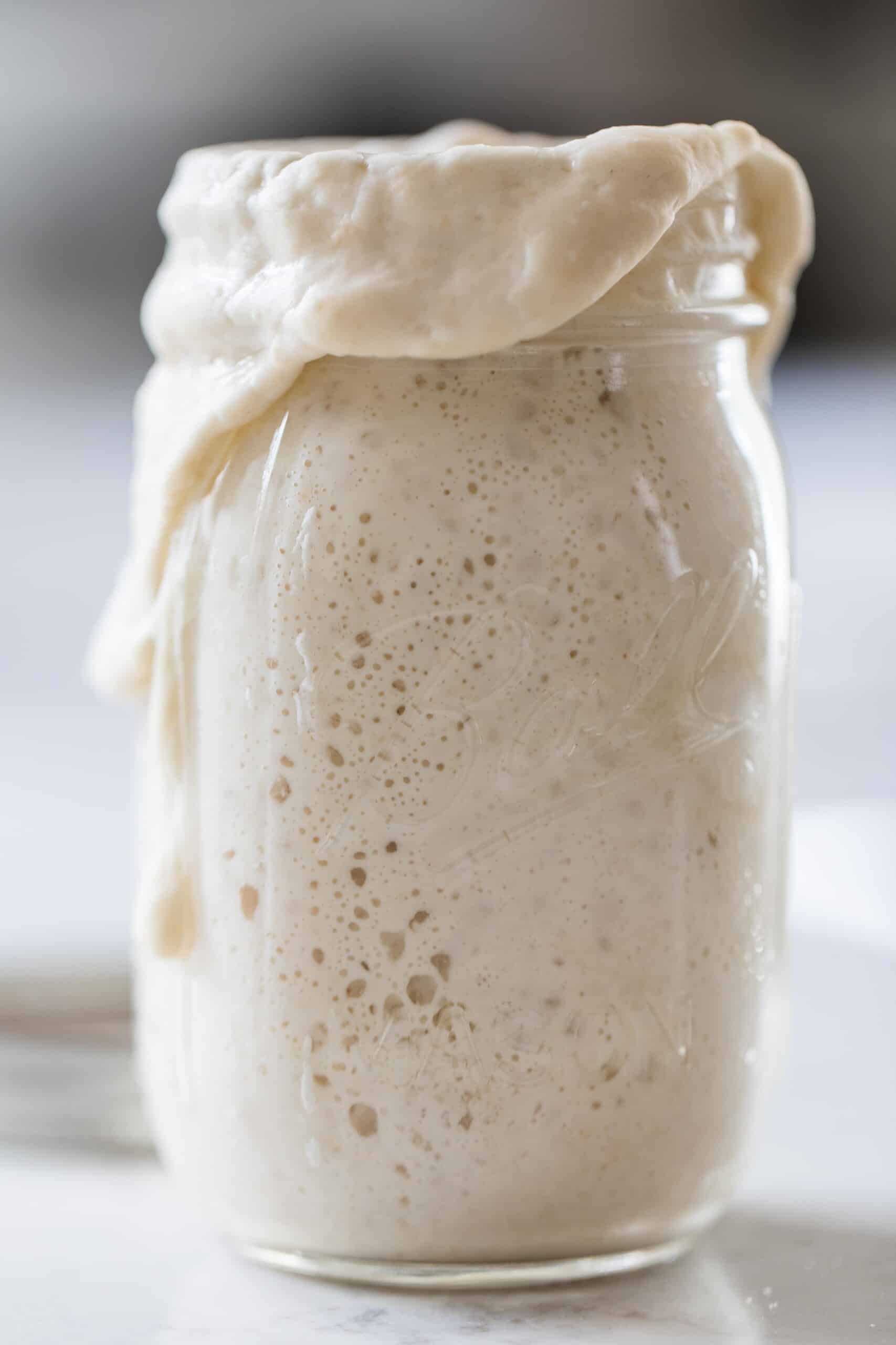 Maintaining a Sourdough Starter