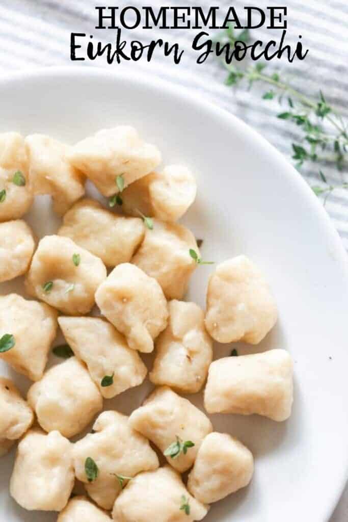 overhead photo of homemade einkorn gnocchi sprinkled with fresh herbs in a white bowl with fresh thyme in the background
