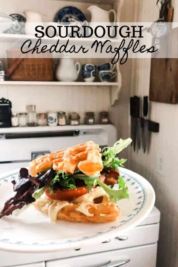 sourdough cheddar waffle with bacon, lettuce, and tomato slices in between two waffles a white plate with a stove in the background