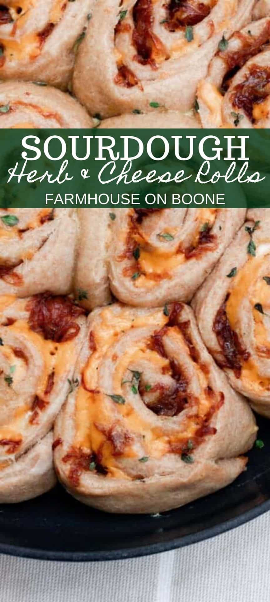 overhead photo of sourdough herb and cheese rolls in a white baking dish on a white countertop with a white and blue plaid towel