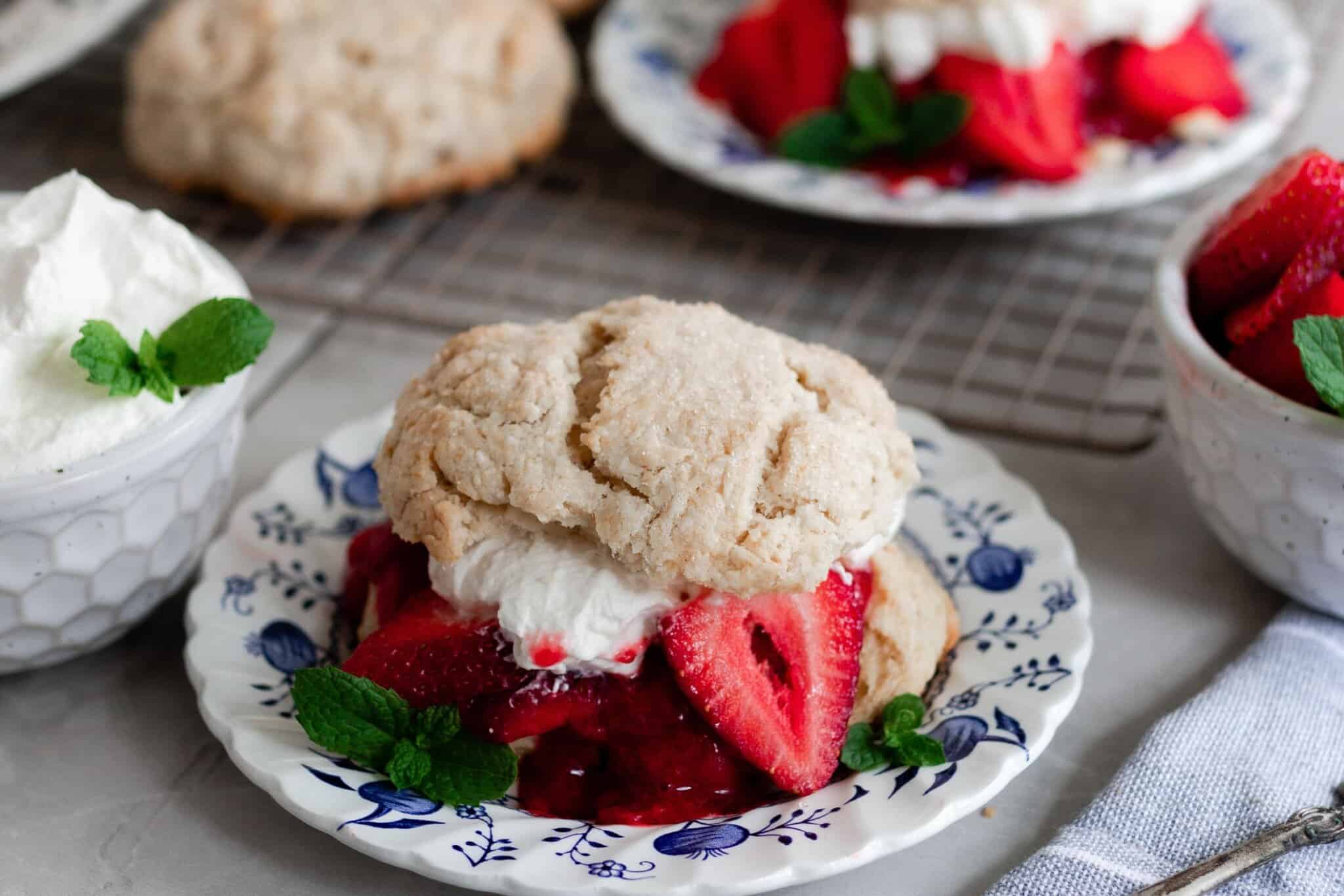 Sourdough Strawberry Shortcake Farmhouse on Boone