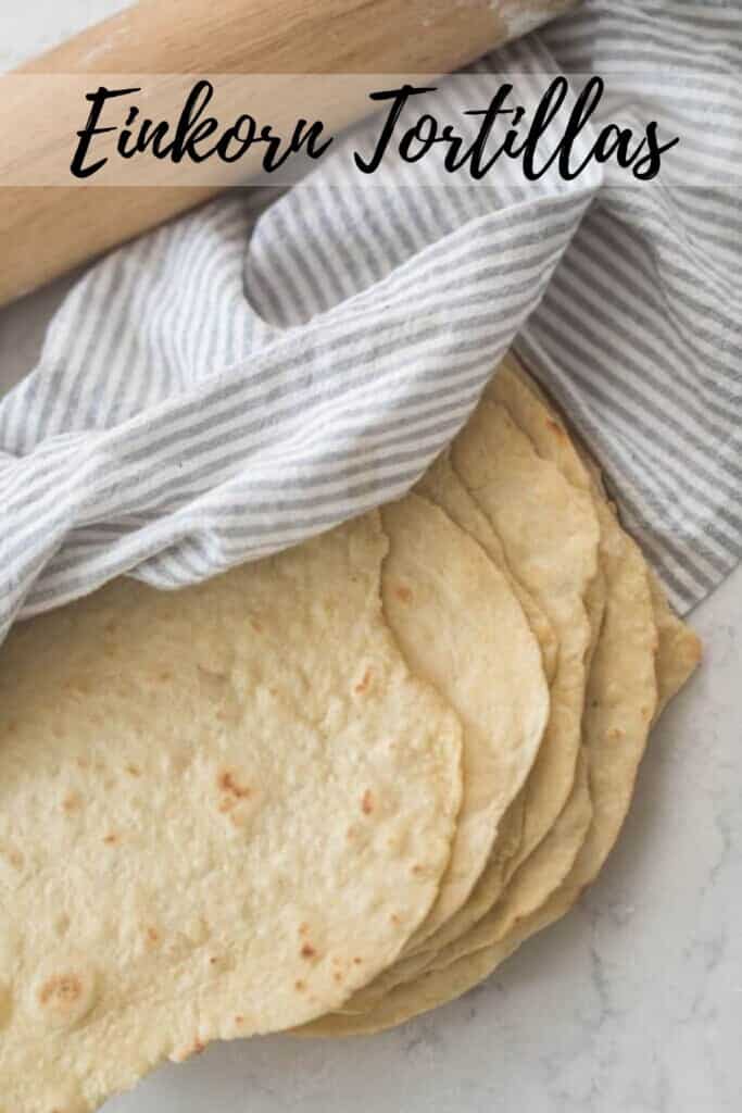 homemade einkorn tortillas stacked on a white quartz countertop. a gray and white towel is draped over the tortillas and a rolling pin is in the background