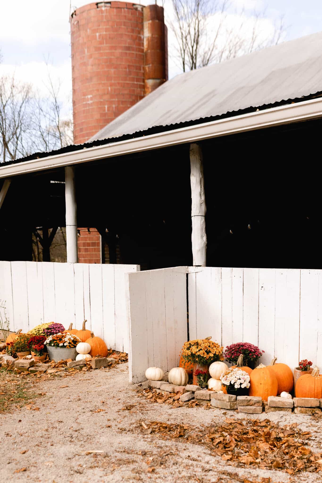 mums and pumpkins stacked and lining the side of a white barn