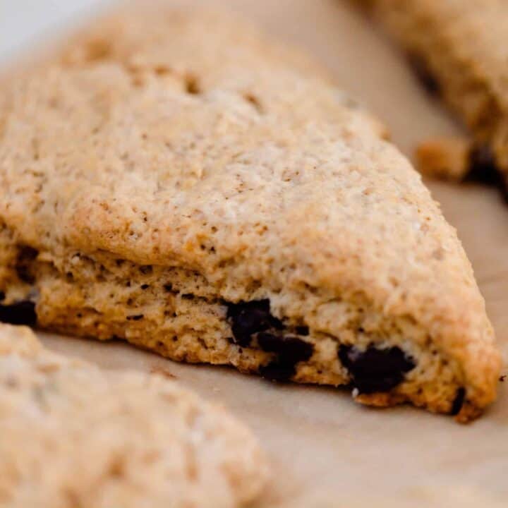 close up picture of sourdough pumpkin scones with chocolate chips on parchment lined baking sheets