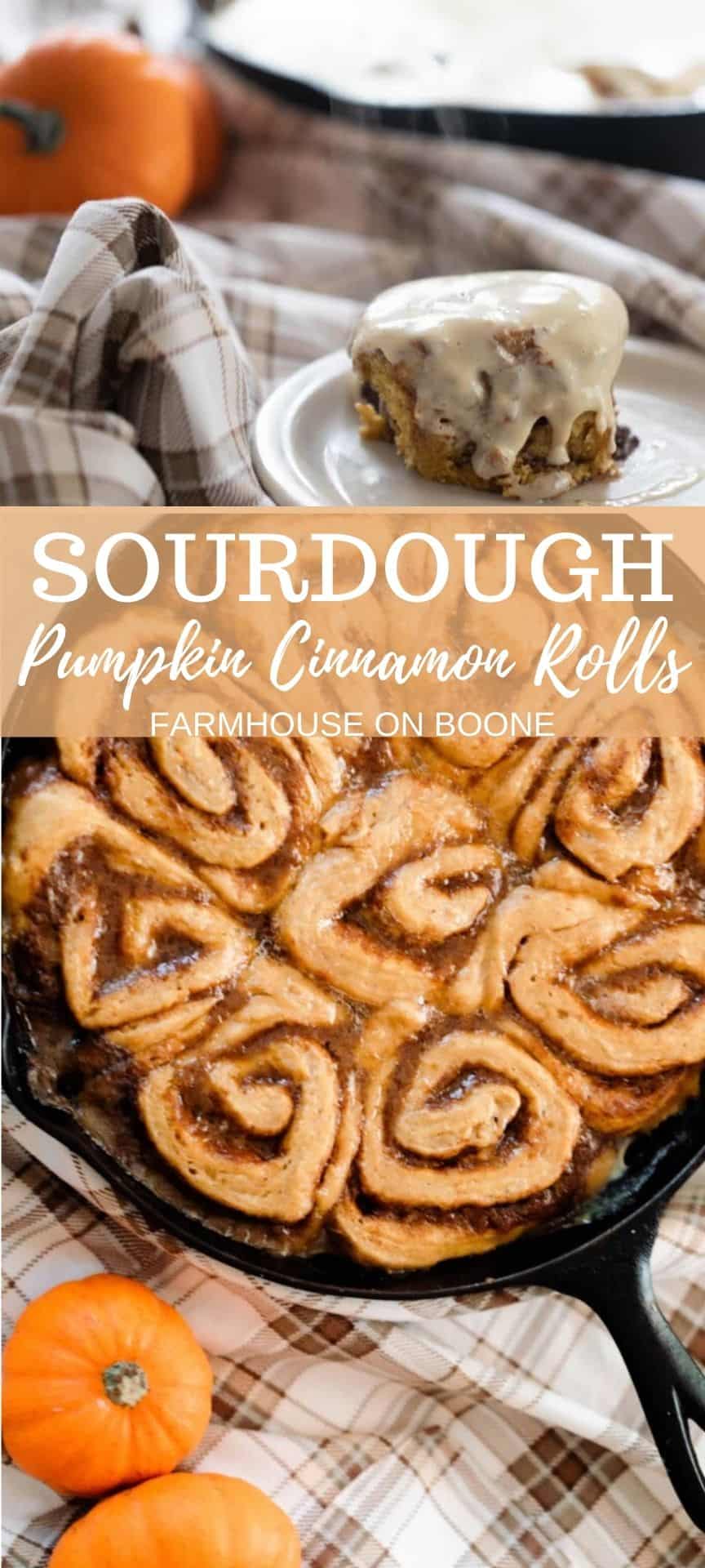 Sourdough Pumpkin Cinnamon Rolls Farmhouse on Boone
