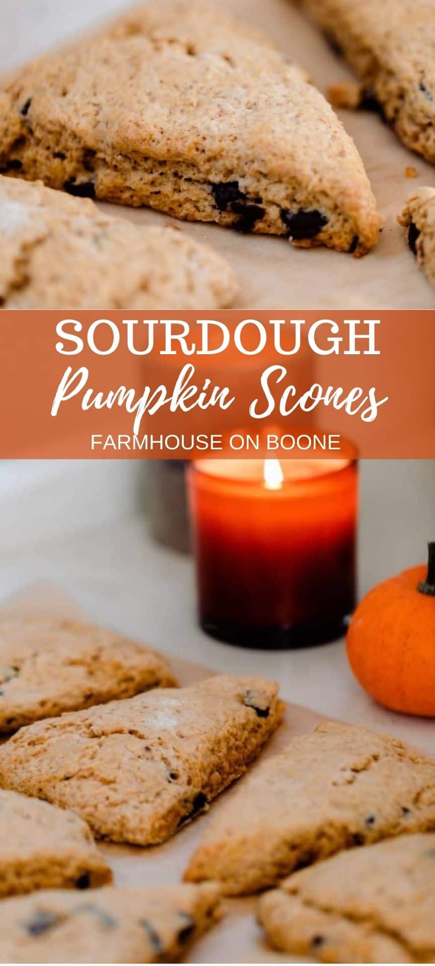 Sourdough Pumpkin Scones Farmhouse on Boone