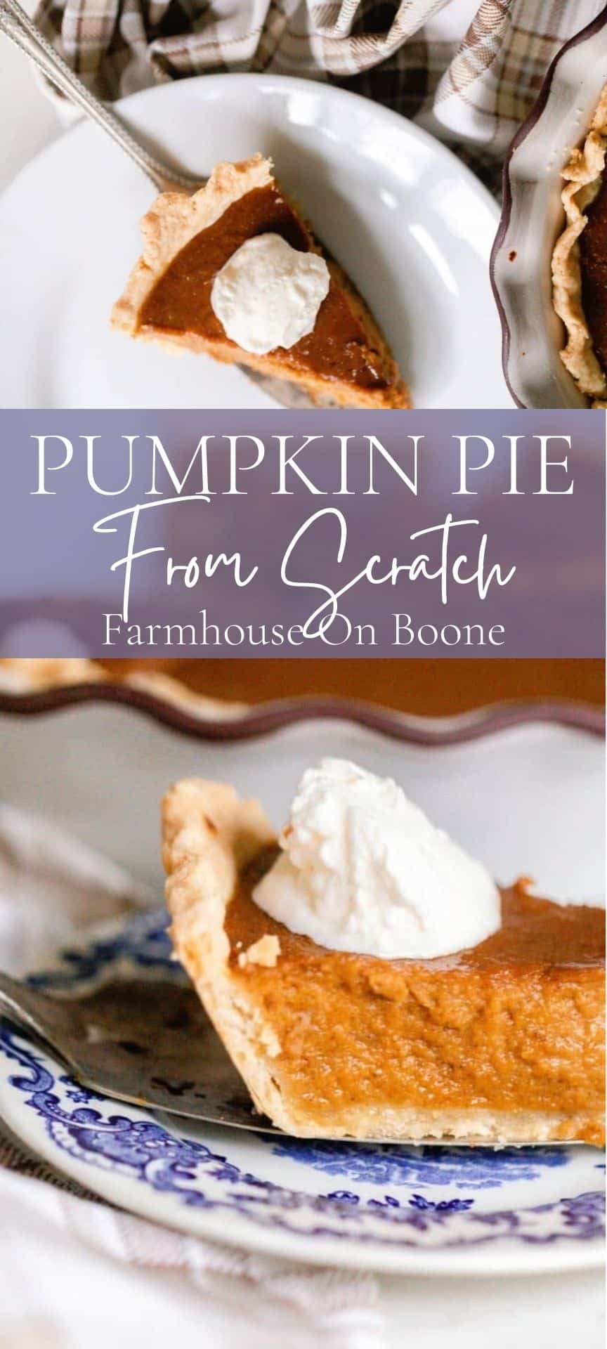FROM SCRATCH PUMPKIN PIE visual data 2