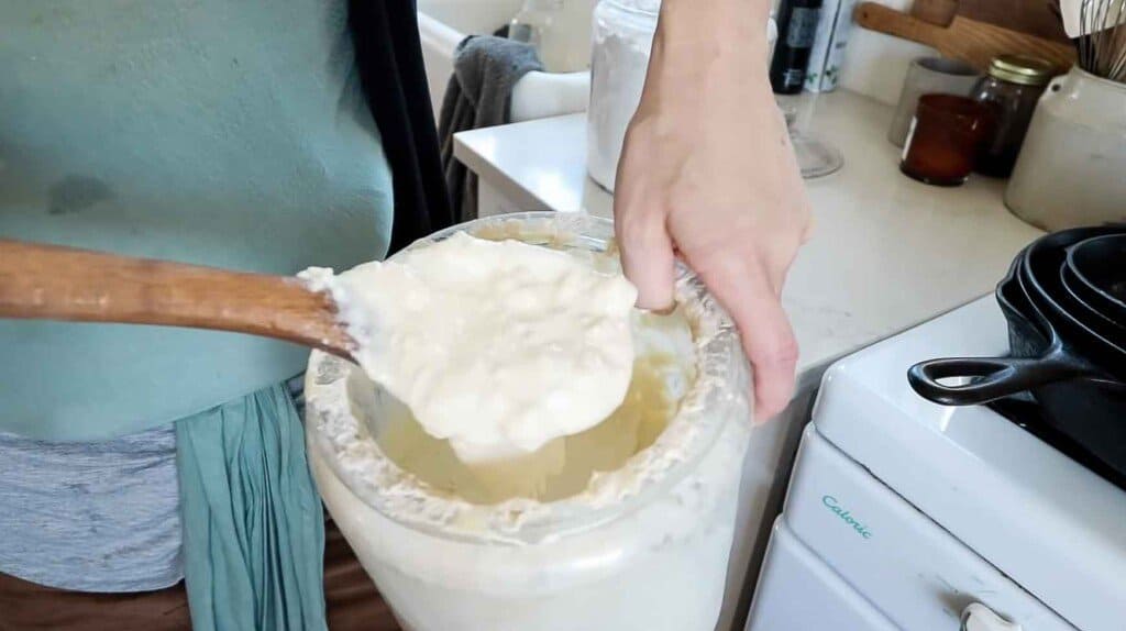 sourdough starter being scooped up with a wooden spoon out of a glass jar