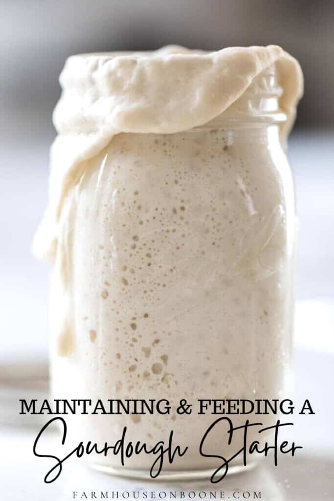 bubbly overflowing sourdough starter a white countertop