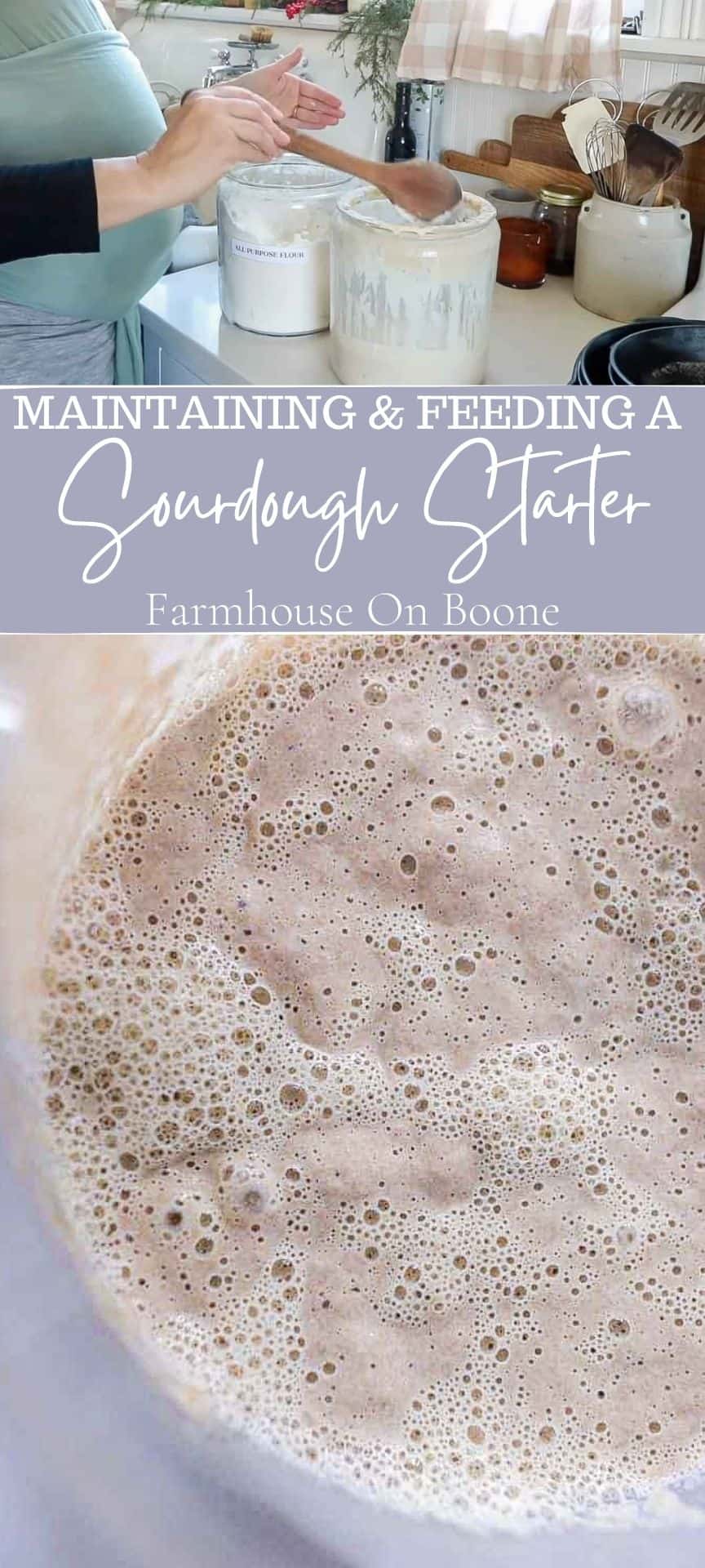 Maintaining and Feeding A Sourdough Starter Farmhouse on Boone