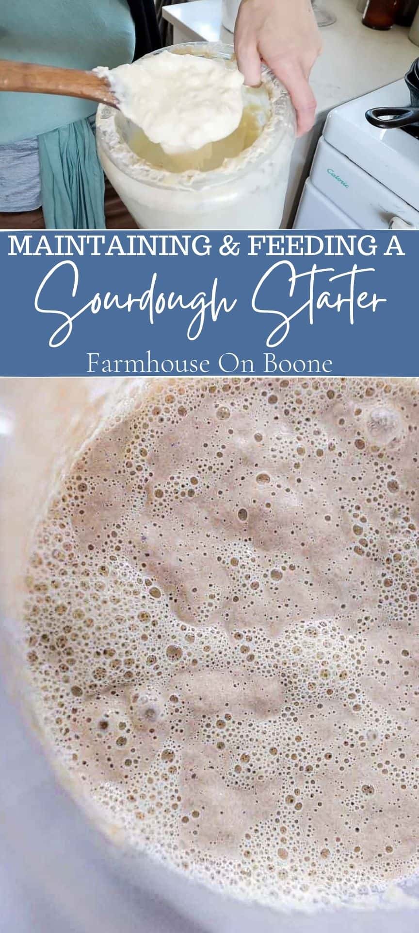 Maintaining and Feeding A Sourdough Starter Farmhouse on Boone