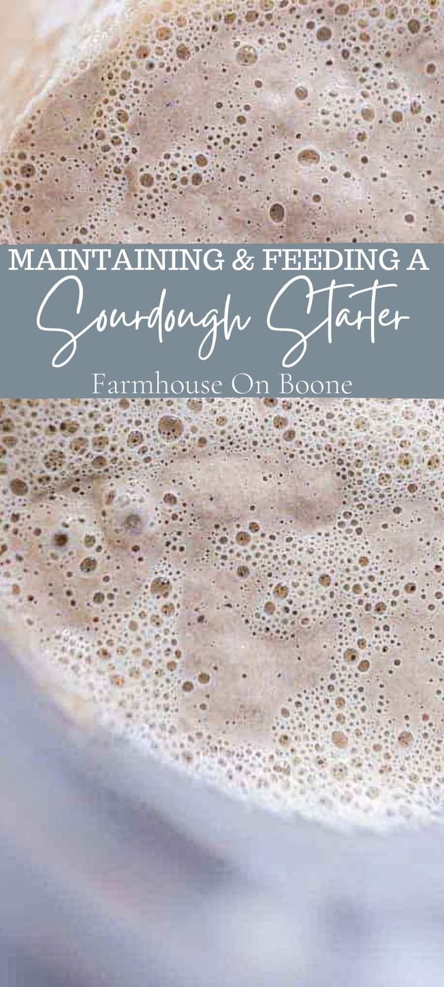 Maintaining and Feeding A Sourdough Starter Farmhouse on Boone
