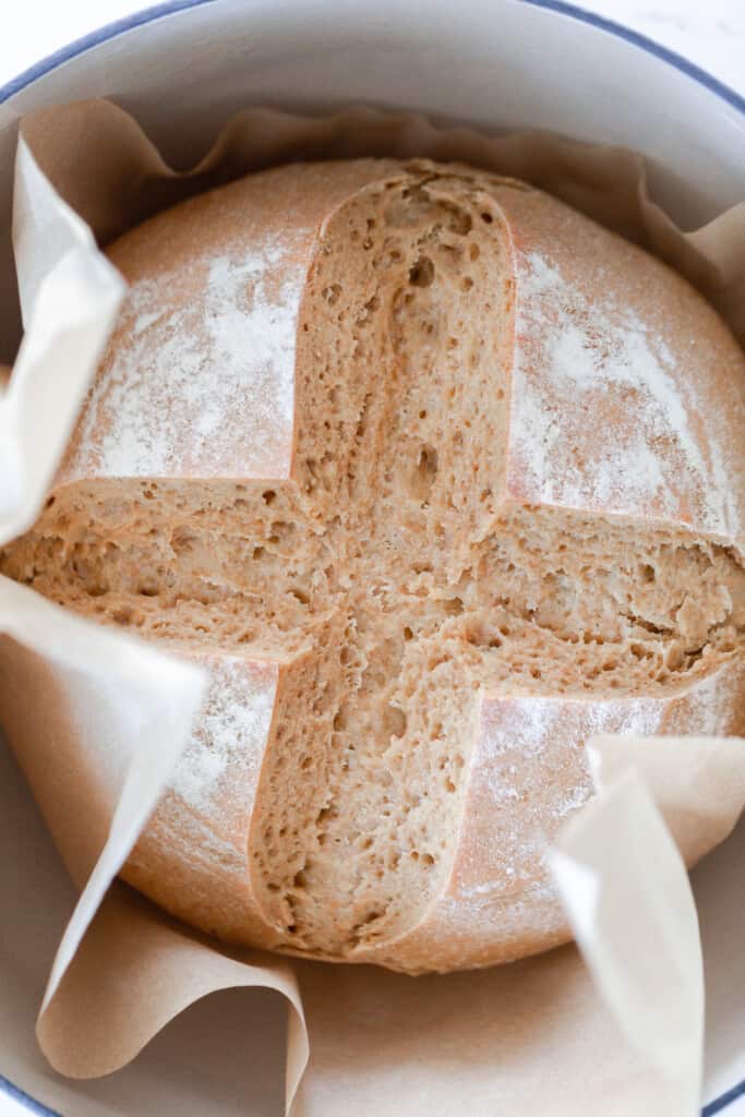 Einkorn Sourdough Starter - Boots & Hooves Homestead