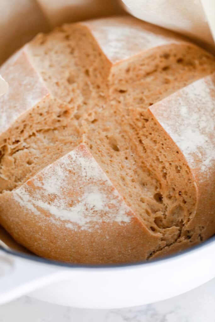 close up picture of einkorn sourdough bread with a cross pattern in a white dutch oven