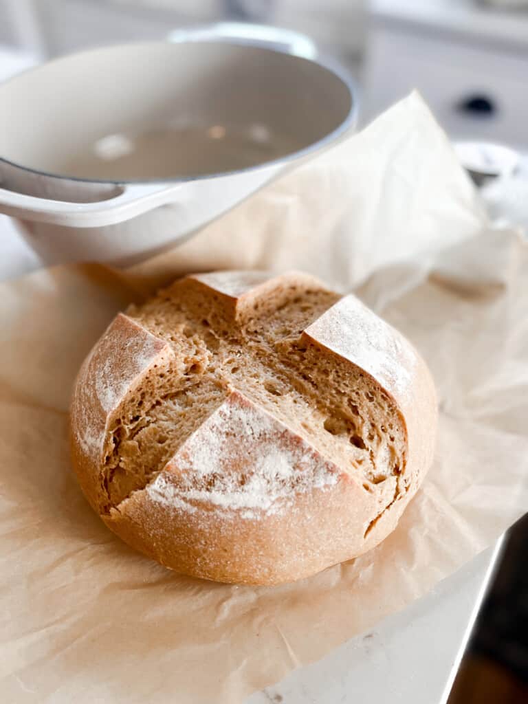 einkorn sourdough bread on parchment paper with a white Dutch oven behind the loaf.