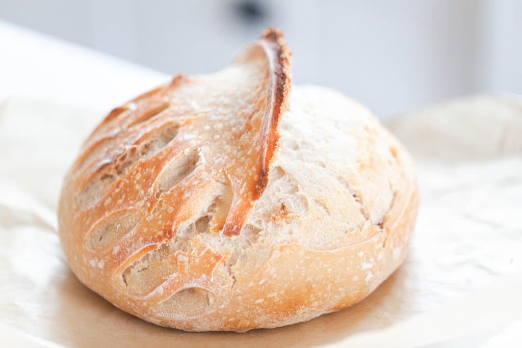 sourdough bread with a wheat pattern and a half moon shaped expansion score on parchment paper