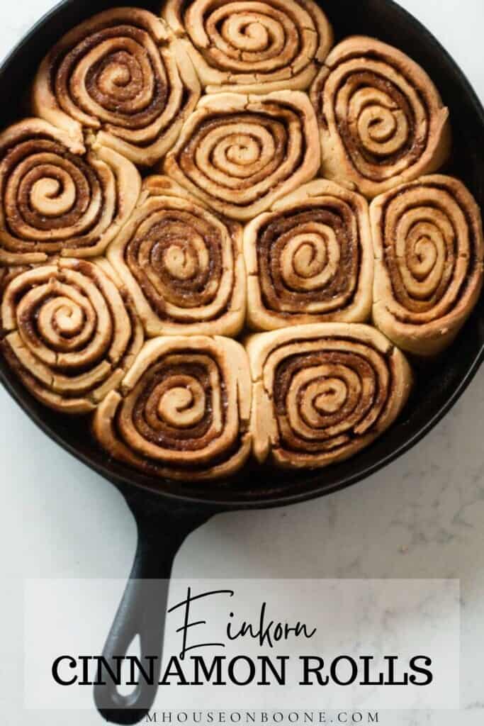 einkorn cinnamon rolls in a cast iron skillet on a white countertop