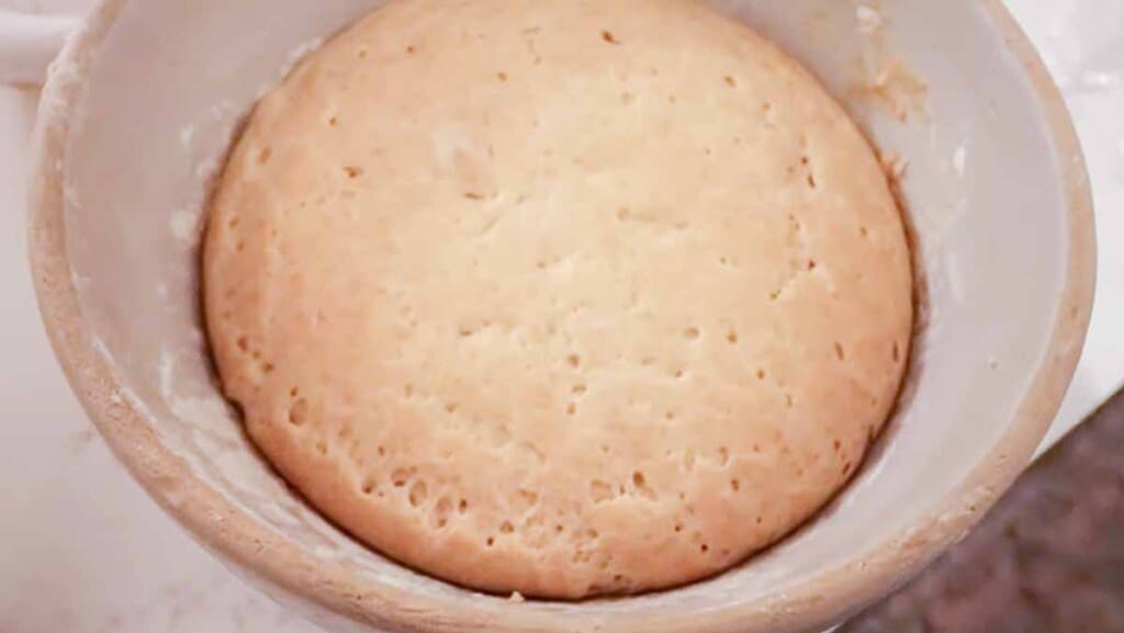 einkorn sourdough bread dough that has risen in a stoneware bowl