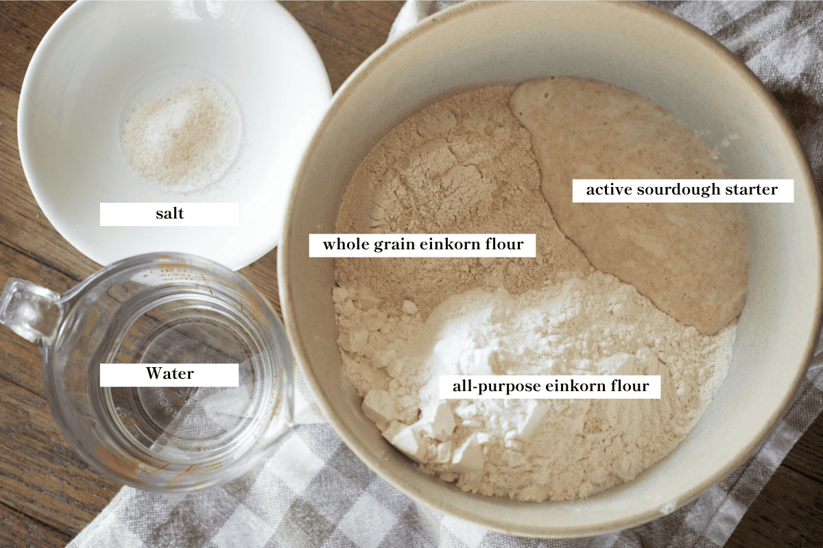 Ingredients for einkorn sourdough boule bread in bowls on a counter.
