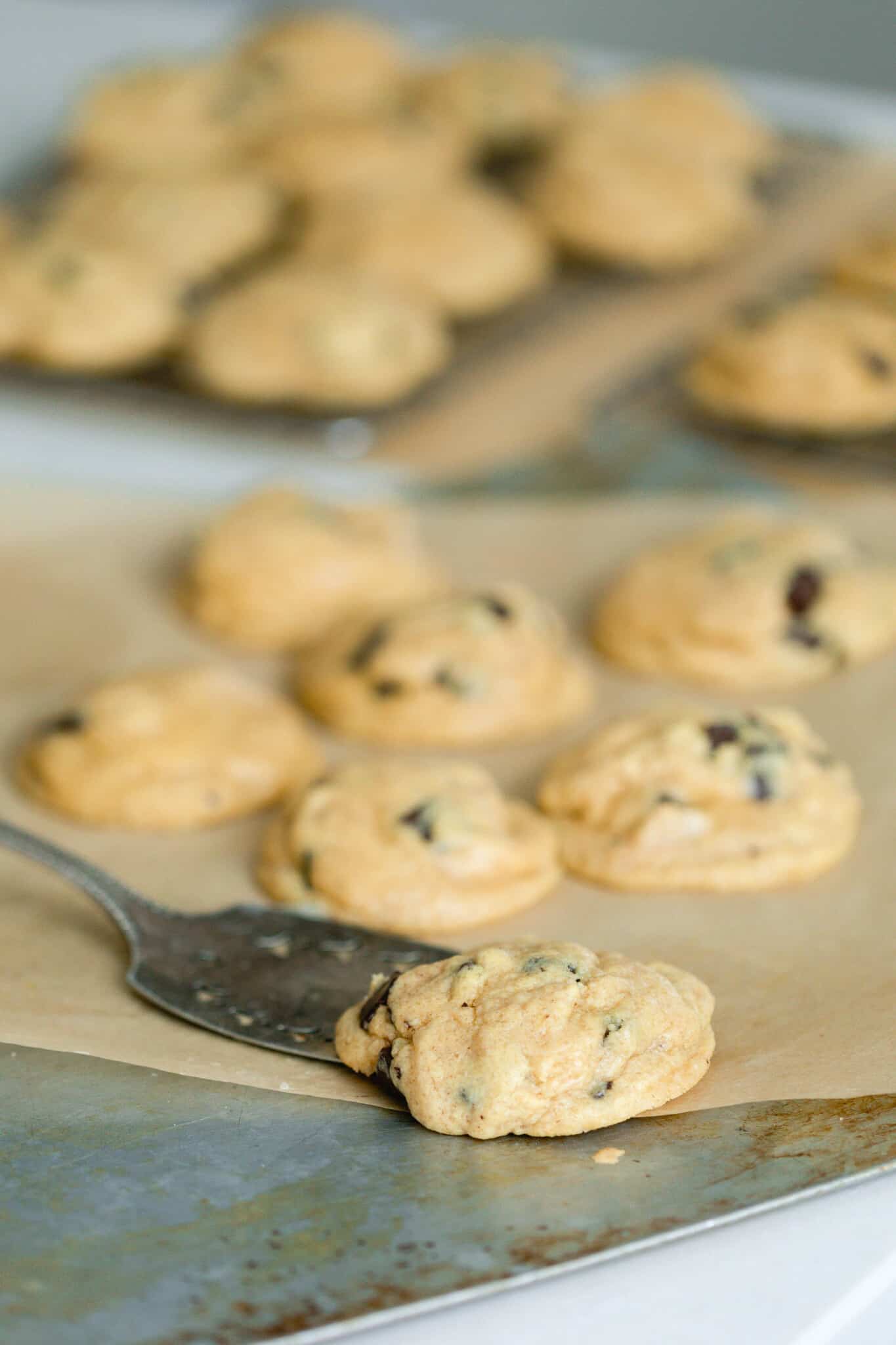 Einkorn Chocolate Chip Cookies Farmhouse on Boone