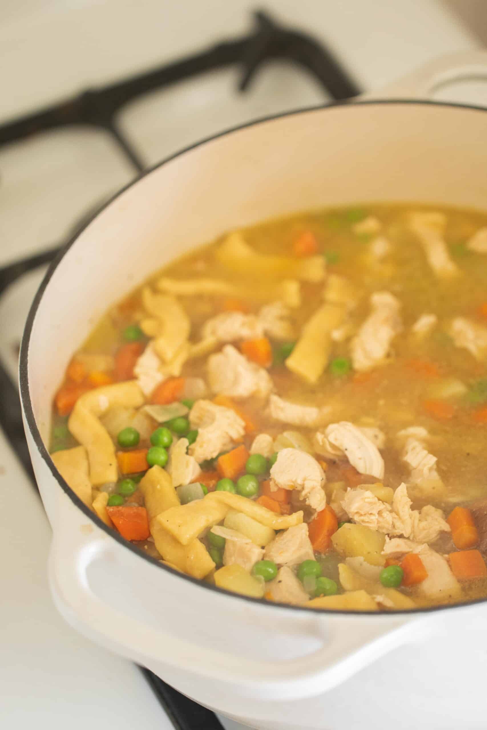 https://www.farmhouseonboone.com/wp-content/uploads/2022/03/homemade-noodles-for-chicken-noodle-soup-4-scaled.jpg