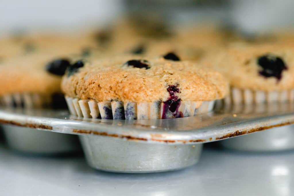 close up view of sourdough blueberry muffin freshly baked in a muffin tin