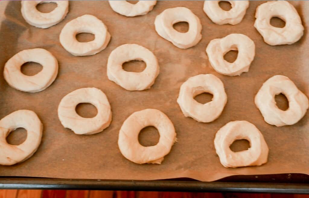 cut out sourdough donuts lay on parchment paper