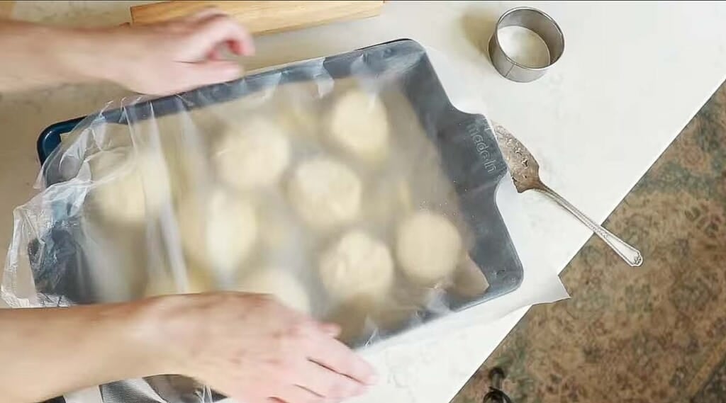 sourdough English muffins in a parchment lined blue baking dish with plastic wrap on top