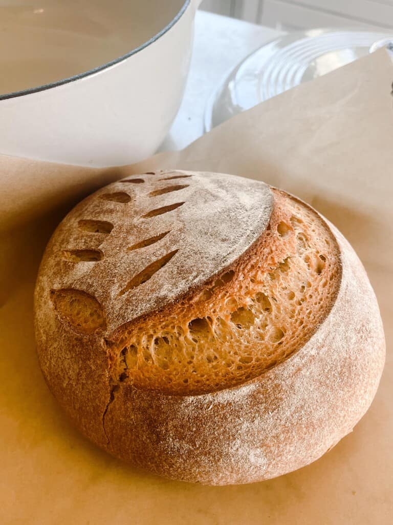 whole wheat sourdough bread with a wheat pattern and large score baked into the bread. The loaf is on parchment paper with a white dutch oven in the background.