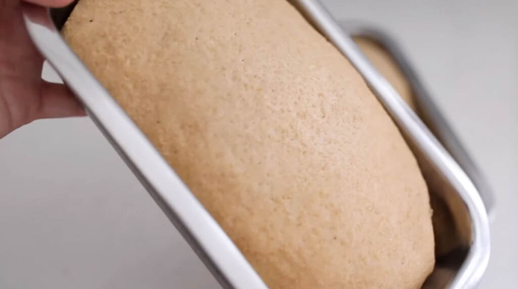 whole wheat sourdough bread dough in a stainless loaf pan with the dough that has doubled in size