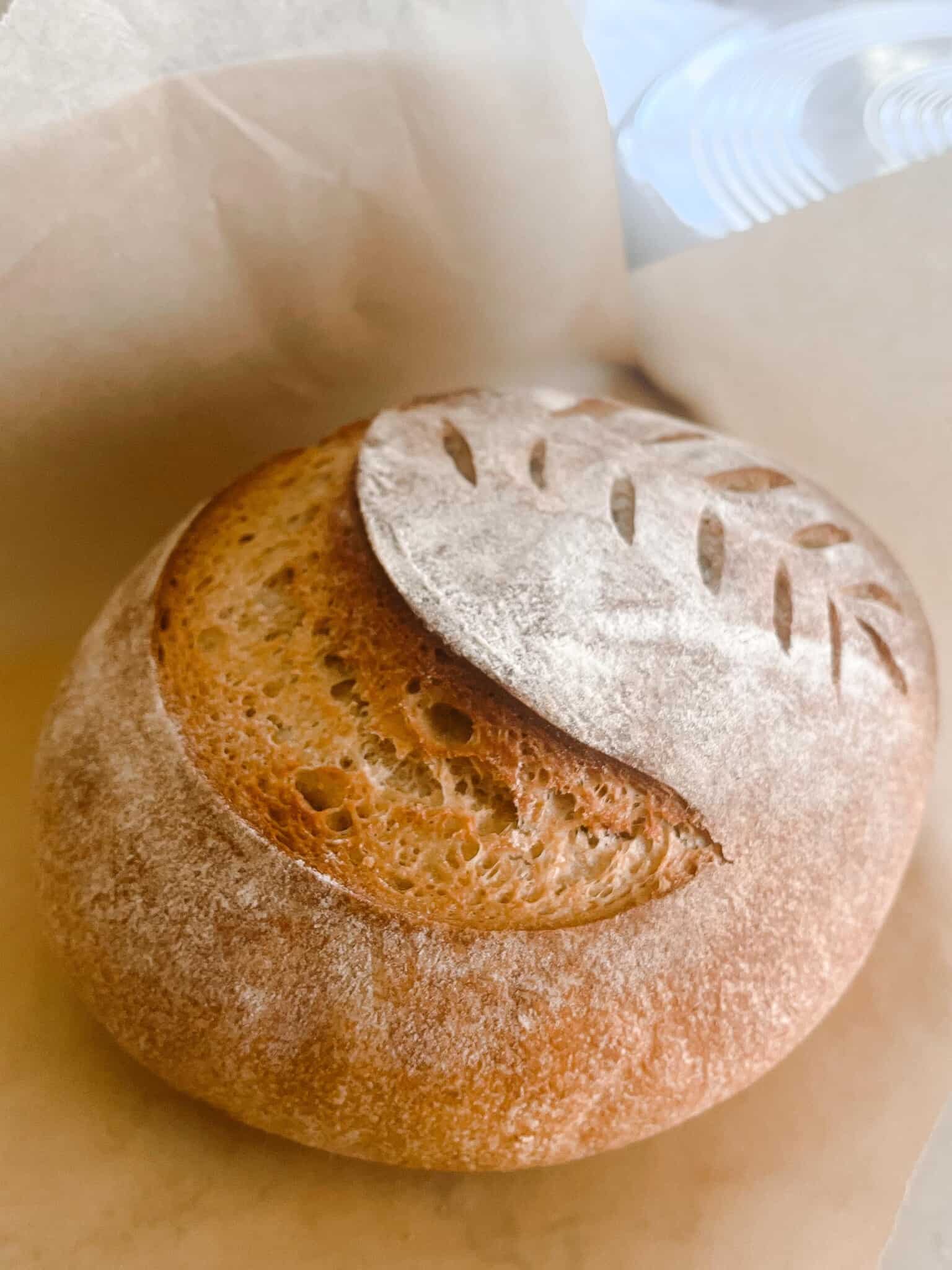 sourdough whole wheat bread with a large slash and a wheat pattern sitting on parchment paper