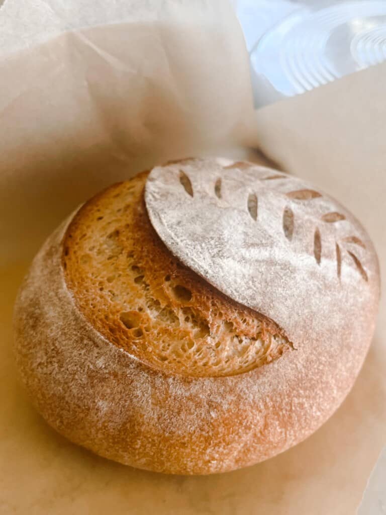 sourdough whole wheat bread with a large slash and a wheat pattern sitting on parchment paper