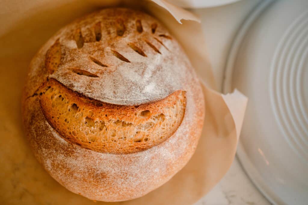 overhead photo of a boule of whole wheat sourdough bread on parchment paper on a white countertop next to a white dutch oven lid