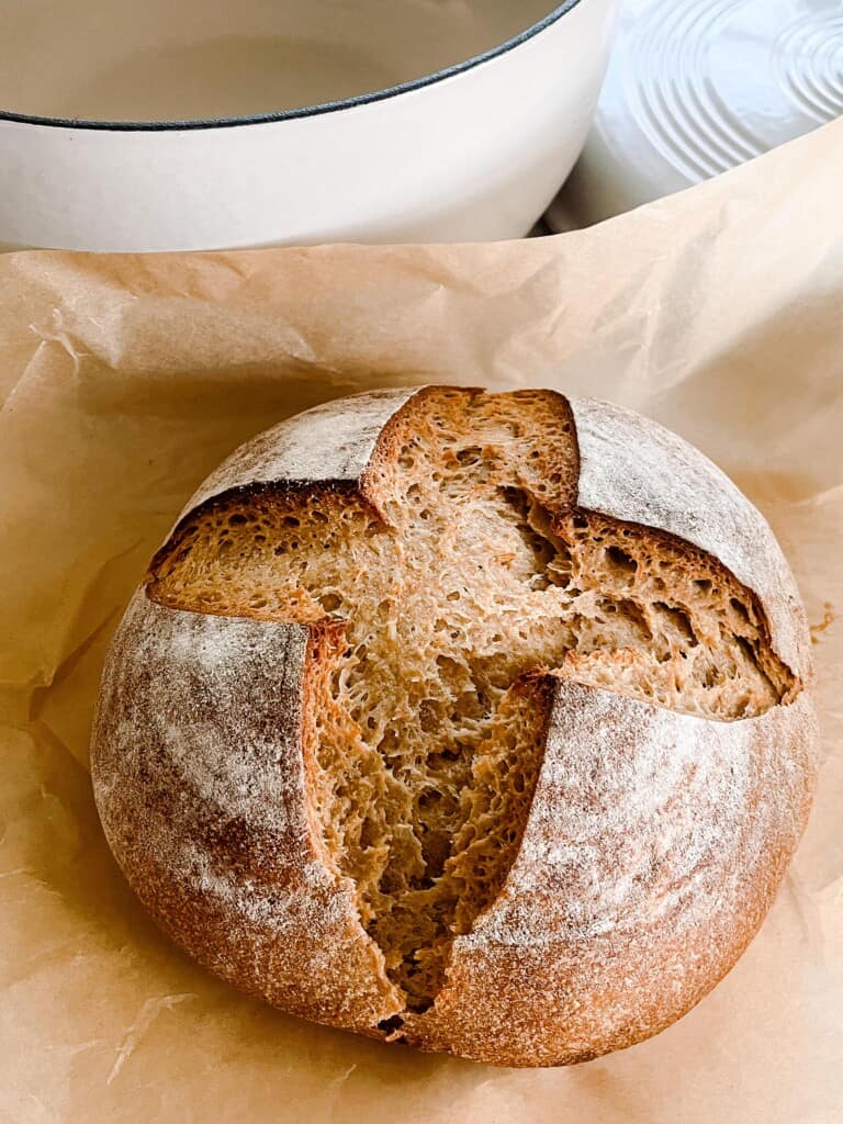 whole wheat sourdough bread boule with a cross pattern on parchment paper with a white dutch oven in the background