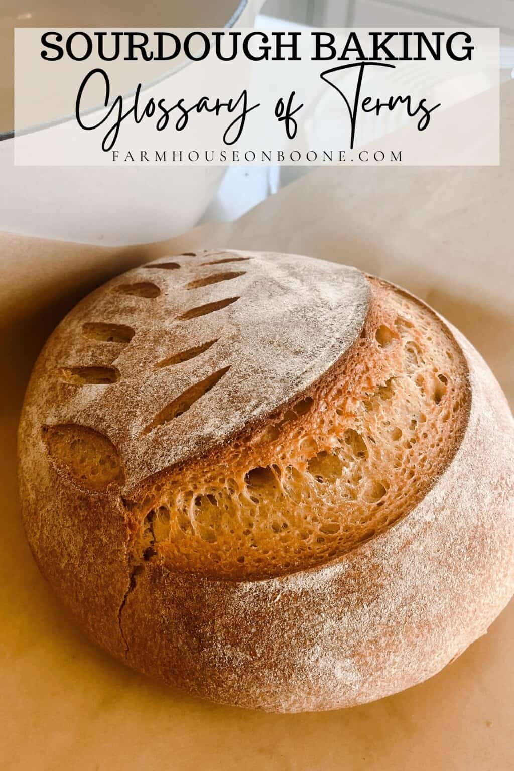 Sourdough Baking Glossary Of Terms Farmhouse on Boone