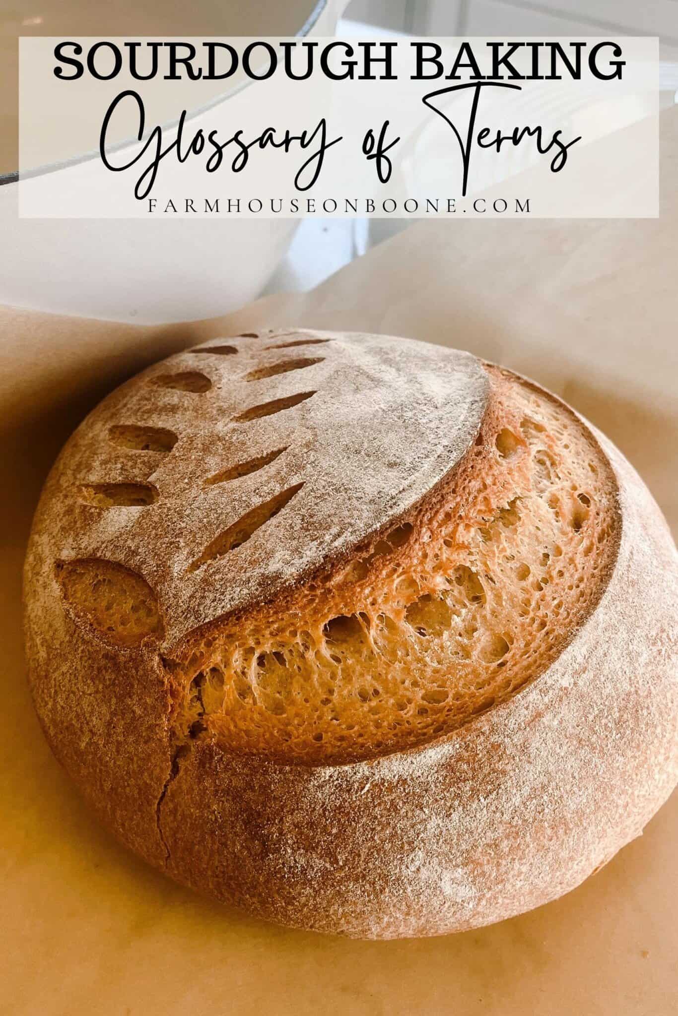 Sourdough Baking Glossary Of Terms Farmhouse on Boone