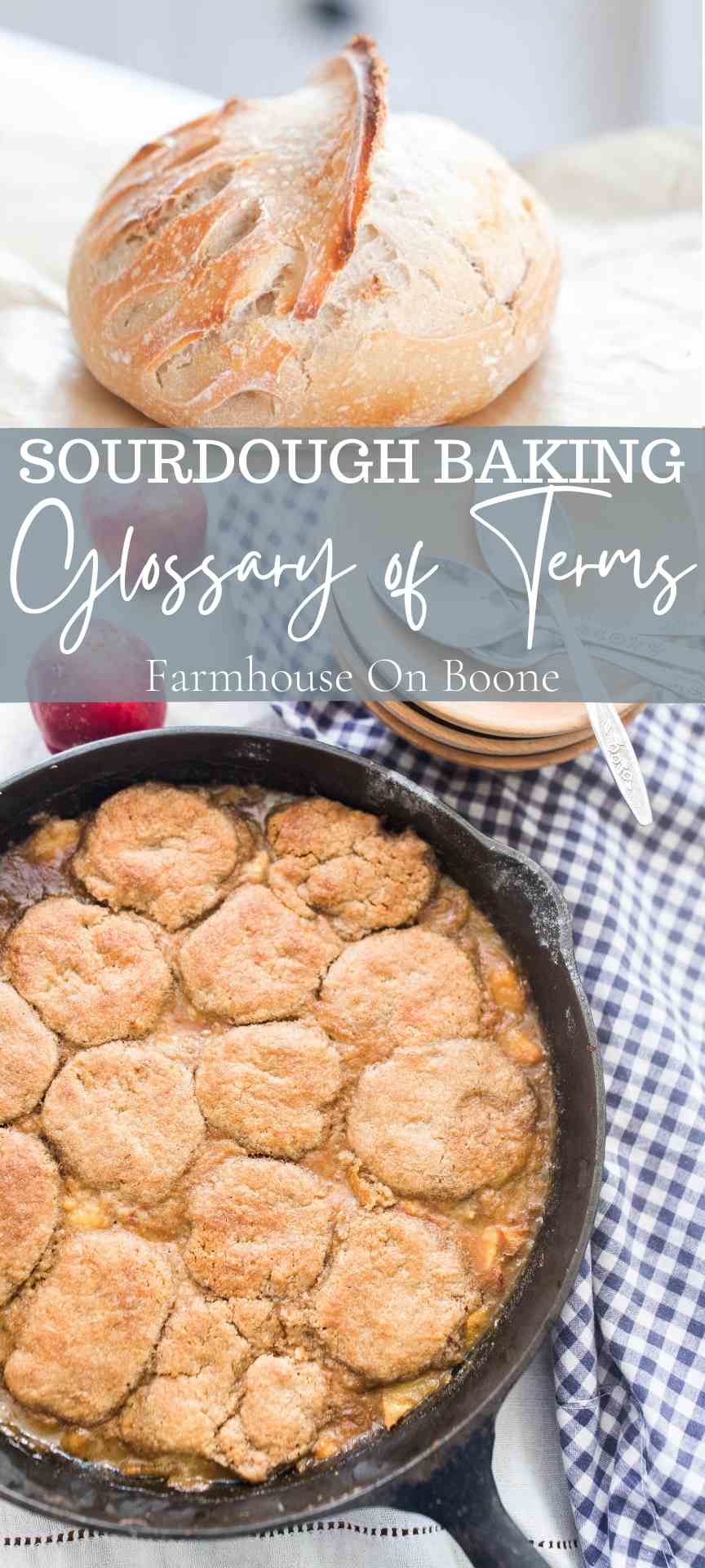Sourdough Baking Glossary Of Terms Farmhouse on Boone