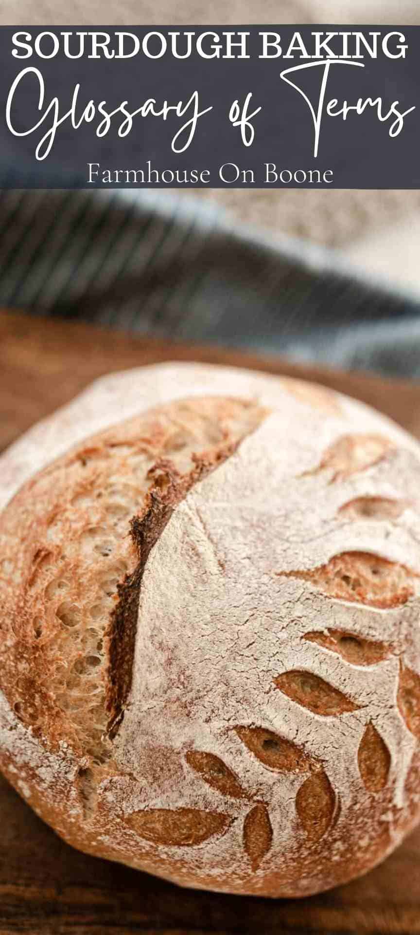 Sourdough Baking Glossary Of Terms Farmhouse on Boone