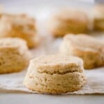 sourdough biscuits on parchment paper
