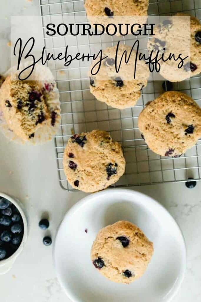 overhead photo of sourdough blueberry muffins on a wire rack with a muffin to the right cut in half and another muffin in the front on a white plate