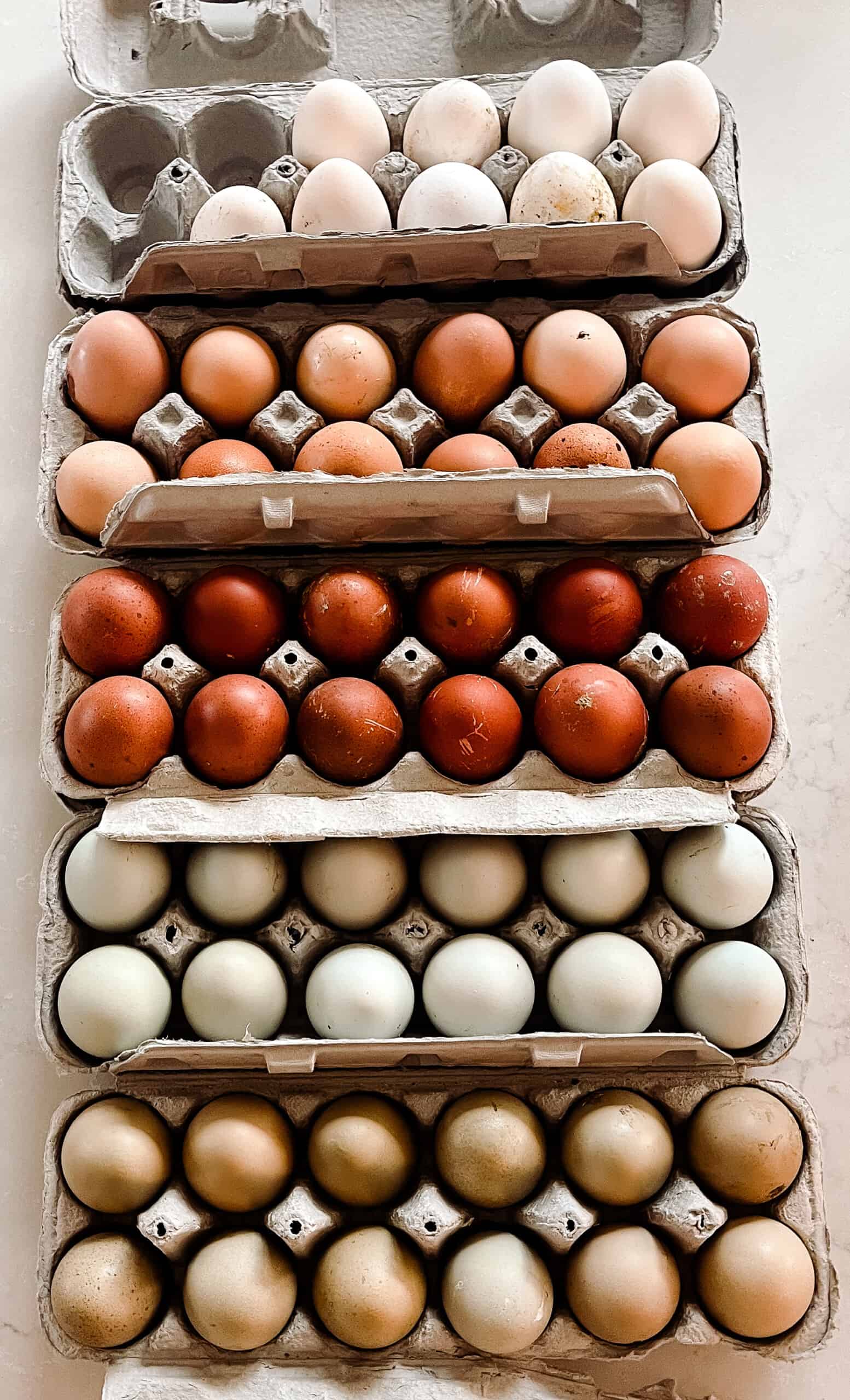 overhead picture of egg cartons filled with colorful farm fresh eggs