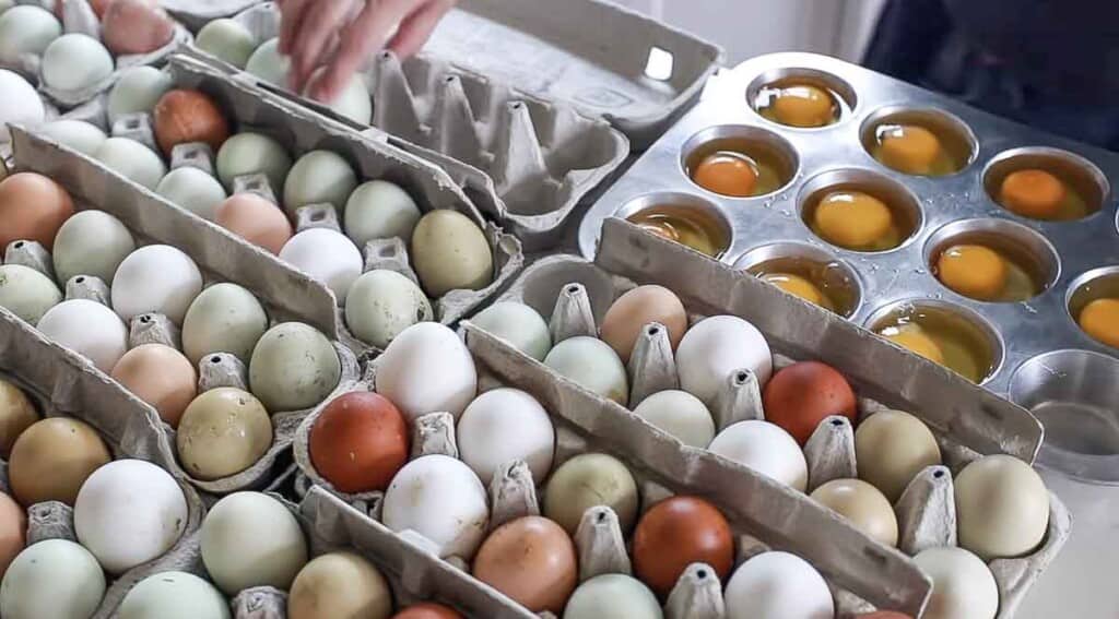 eggs being cracked into a muffin tin with cartons of eggs all around